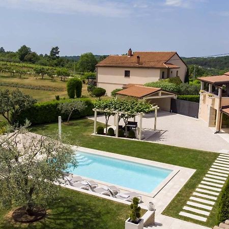 Villa Viscum In Central Istria For 8 Persons With Large Garden - Pet Friendly 帕津 外观 照片