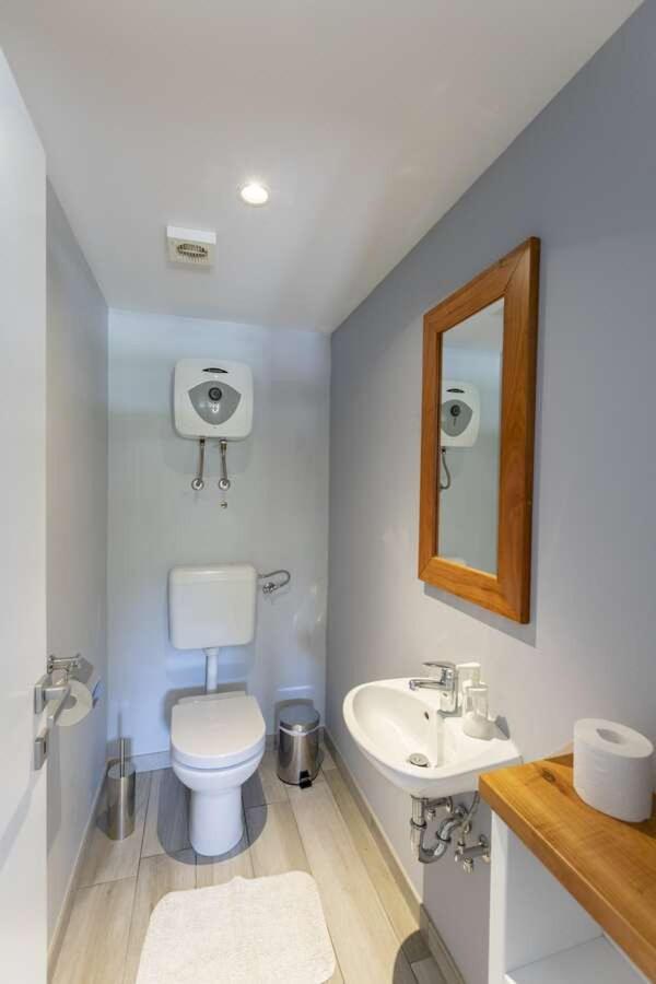 Villa Viscum In Central Istria For 8 Persons With Large Garden - Pet Friendly 帕津 外观 照片