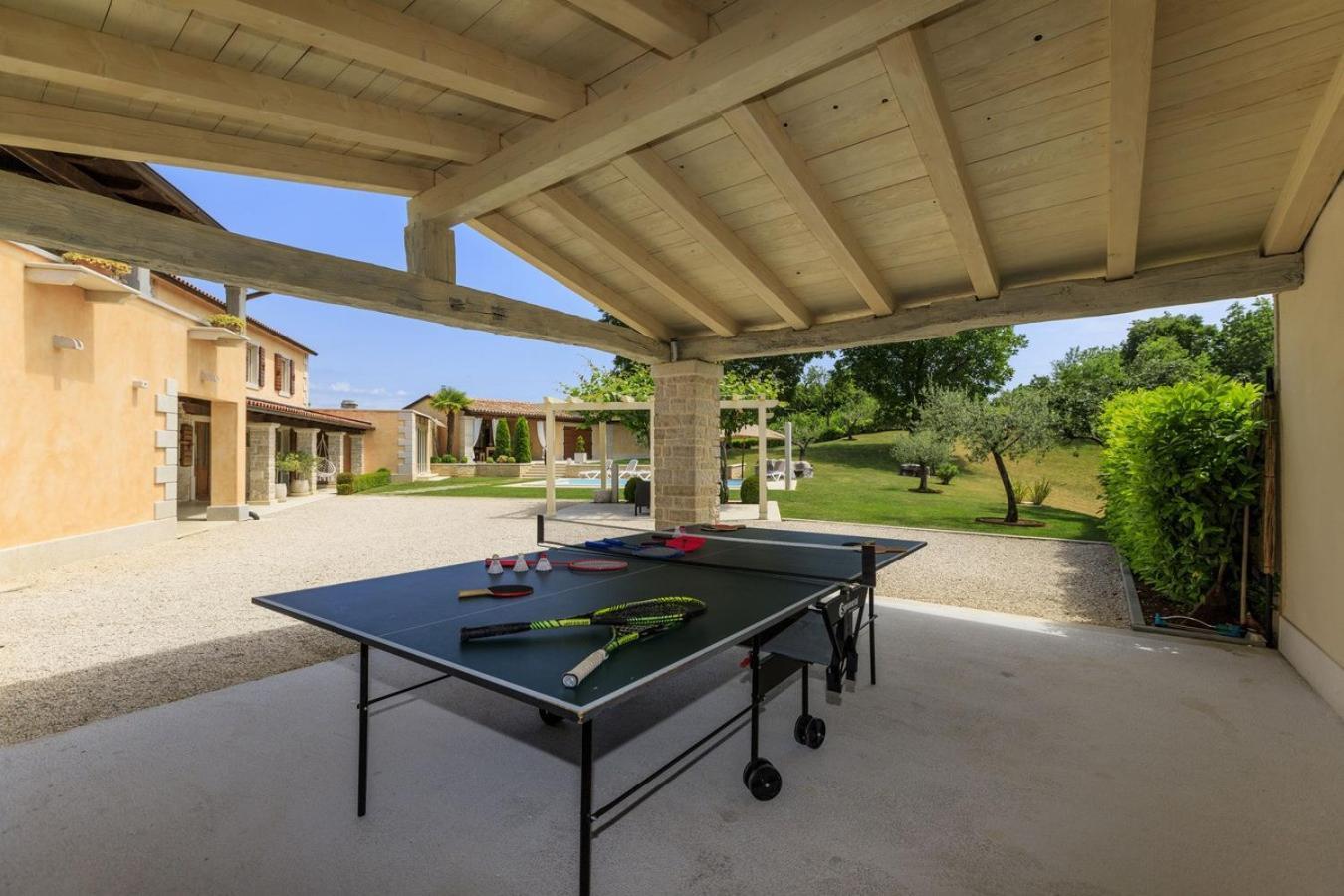 Villa Viscum In Central Istria For 8 Persons With Large Garden - Pet Friendly 帕津 外观 照片