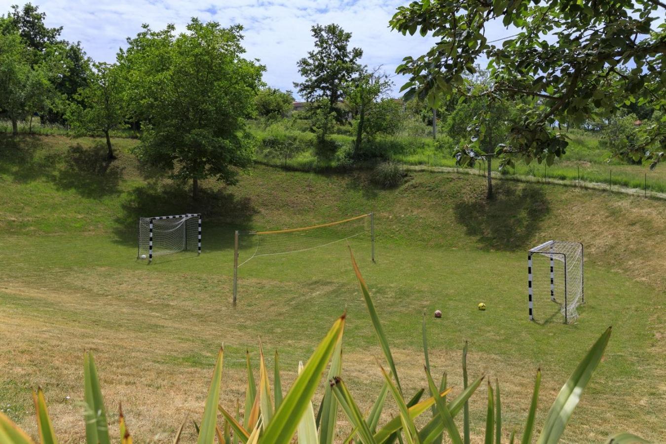 Villa Viscum In Central Istria For 8 Persons With Large Garden - Pet Friendly 帕津 外观 照片